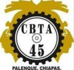 Logo of CBTA 45 android Application 